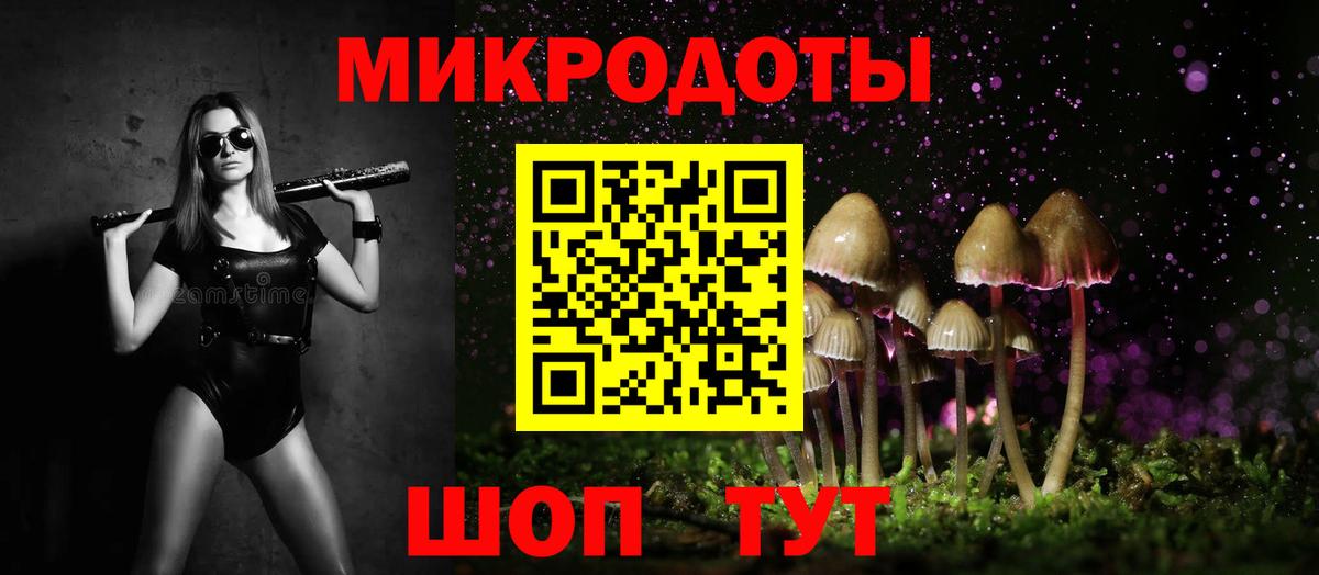 Бердск  Псилоцибиновые грибы мухоморы  Вход с VPN 