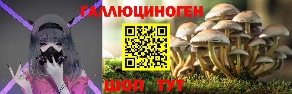 Галлюциногенные грибы GOLDEN TEACHER Бердск