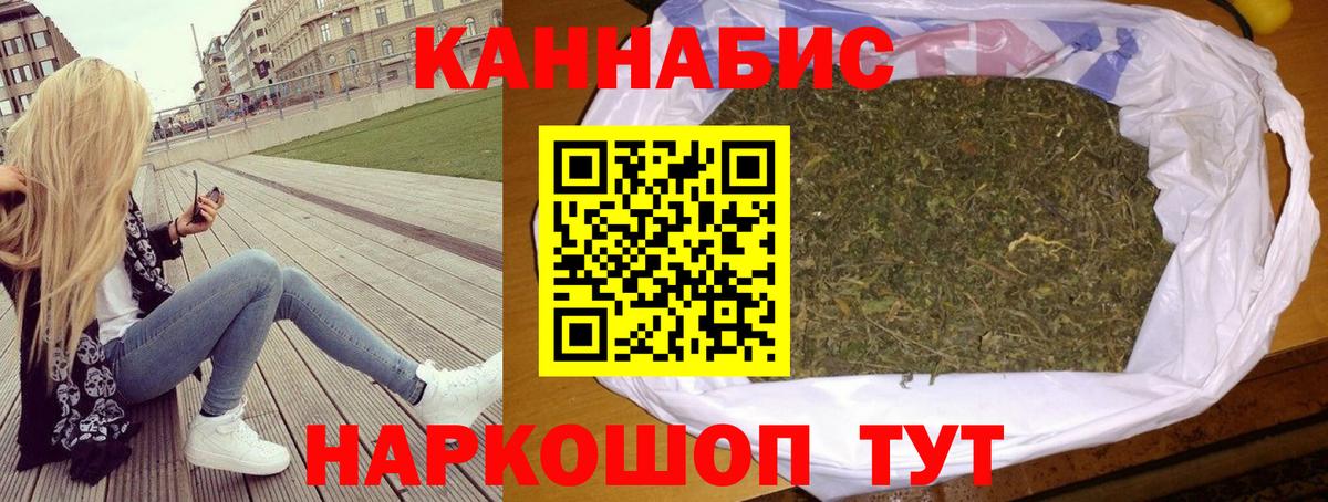 Каннабис сатива Бердск